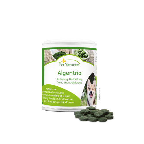 Algentrio (150 stuks) - Uitscheiding, bloedvorming, neutralisatie van lichaamsgeur