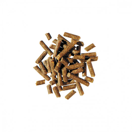 Bierhefe Pur - biergist Agrobs