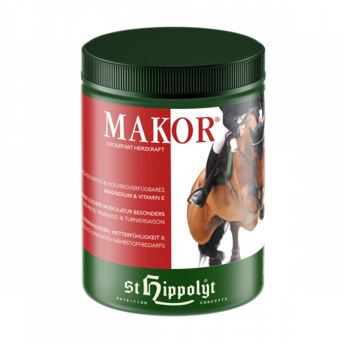 Makor - Lossigheid en een sterk hart