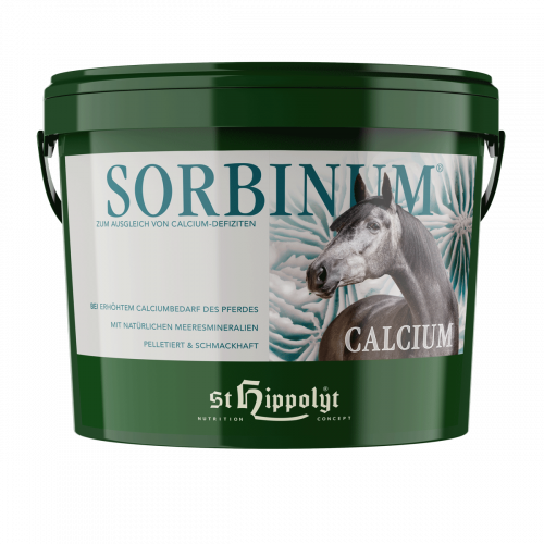 Sorbinum Calcium - Mineraalvoer voor paarden