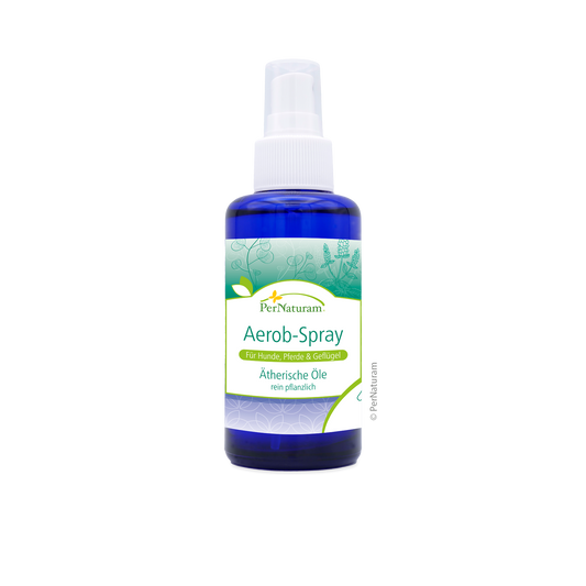 Aerob Spray 100 ml - omgevingsspray bij verkoudheid