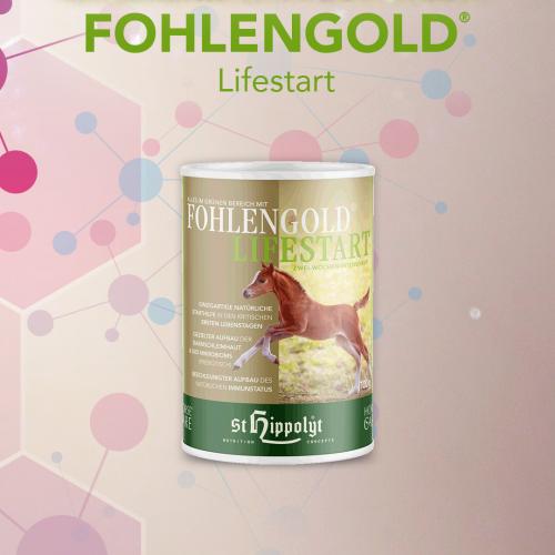 Fohlengold® LifeStart - Starthulp voor veulens