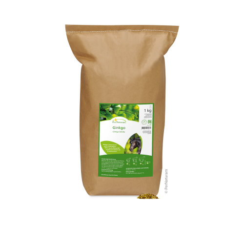 Ginkgo - Bevordert de circulatie en versterkt de bloedvaten