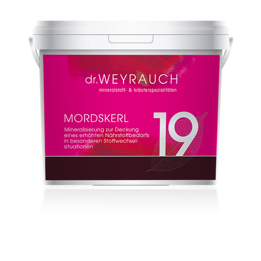 Nr. 19 Mordskerl Dr. Weyrauch