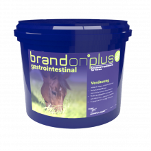 Brandon®plus gastrointestinal -Ter bescherming van het maag- en darmslijmvlies