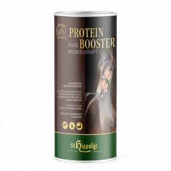 WES Protein Booster - Gerichte spieropbouw